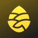 �ɹ��絥��app