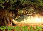�ػ�����֮��9.51��CD��(����)