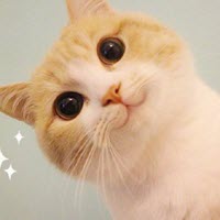 bobiè�����޵м��ȹ��ɱ����