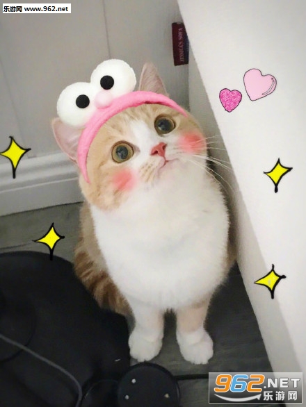 �����޵�֮���ȹ��ɱ������ͼ1