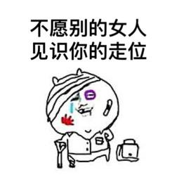 过火王者荣耀版表情包截图0