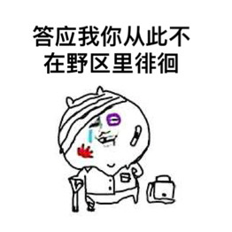 过火王者荣耀版表情包截图5