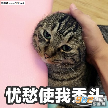 �ǳ�ʹ��ͺͷè��������ͼ0
