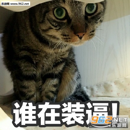�ǳ�ʹ��ͺͷè��������ͼ1