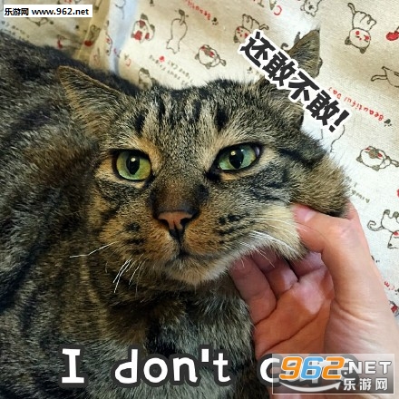 �ǳ�ʹ��ͺͷè��������ͼ2