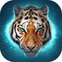 TheTiger(ɭ��֮�����ĺ�����)