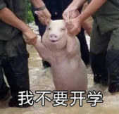 �Ҳ�Ҫ��ѧ����С�������