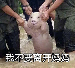 �Ҳ�Ҫ��ѧ����С���������ͼ0