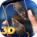 ��������Ļ��app��׿��