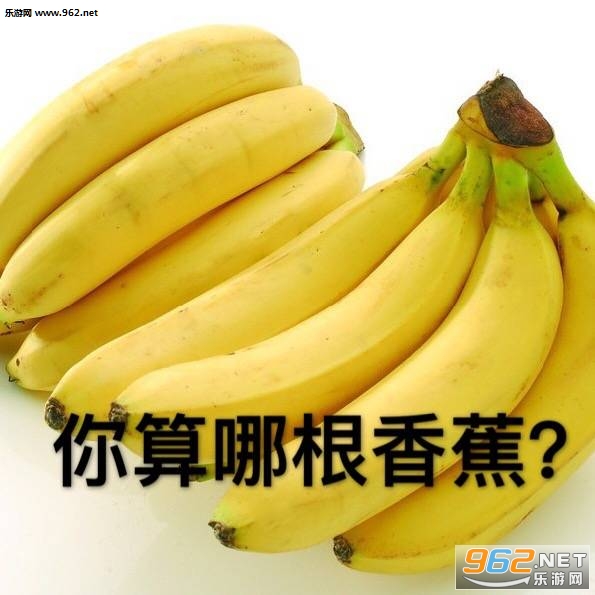 ���������廨��������ͼ2