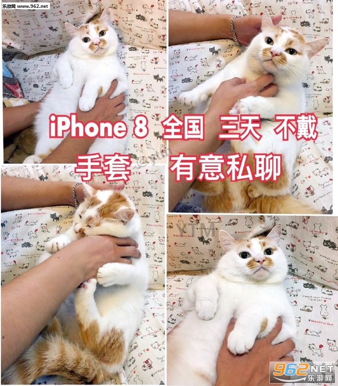 ��18��B�����˲���ûB����Ц�������ͼ0