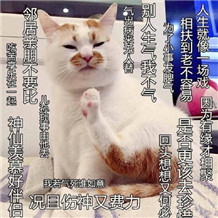 Ī������������һ��Ϸ�����