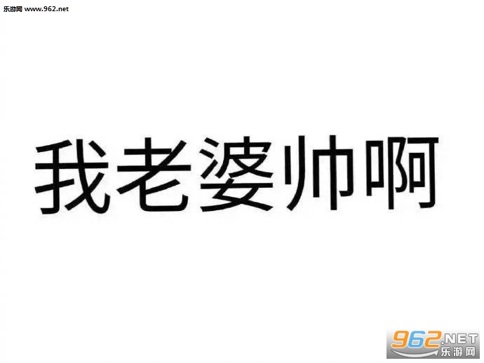 我老婆是我的祖宗啊哄老婆开心的表情包截图3