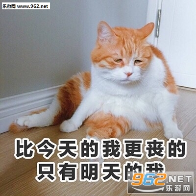 ����ô��fufu�ı������ͼ1
