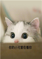 �Ҳ������Ѿ���������è�����ͼƬ