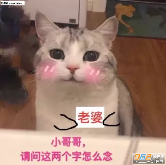 �Ҳ������Ѿ���������è�����ͼƬ��ͼ1