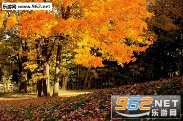 2017��־���ͼƬ�زĽ�ͼ0