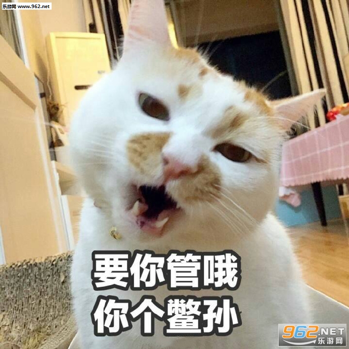�µı����Ѿ�������ô�ܹ�ͣ�Ͳ�ǰ�������ͼ2