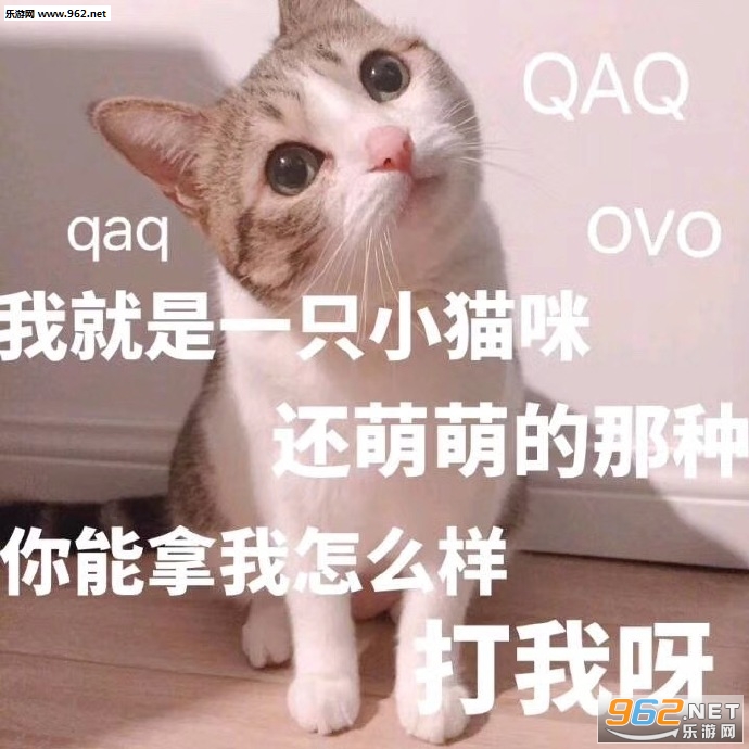 �µı����Ѿ�������ô�ܹ�ͣ�Ͳ�ǰ�������ͼ3