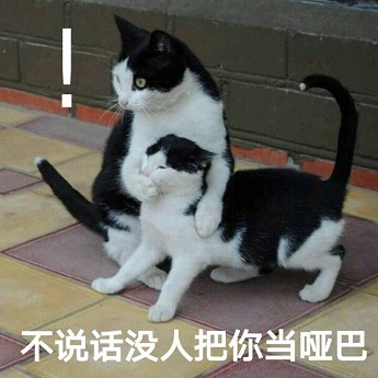 �������ɵ�ƿ���è������