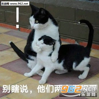 �������ɵ�ƿ���è��������ͼ1