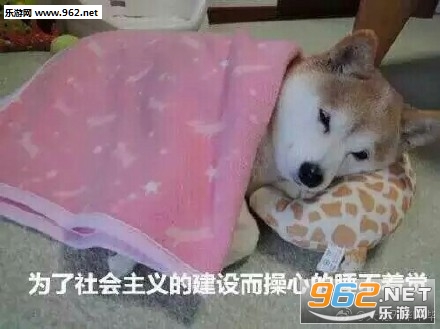我上去就是一本道德经表情包截图1