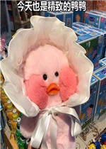����Ҳ�Ǿ��µ�ѼѼ������С��Ѽ�����