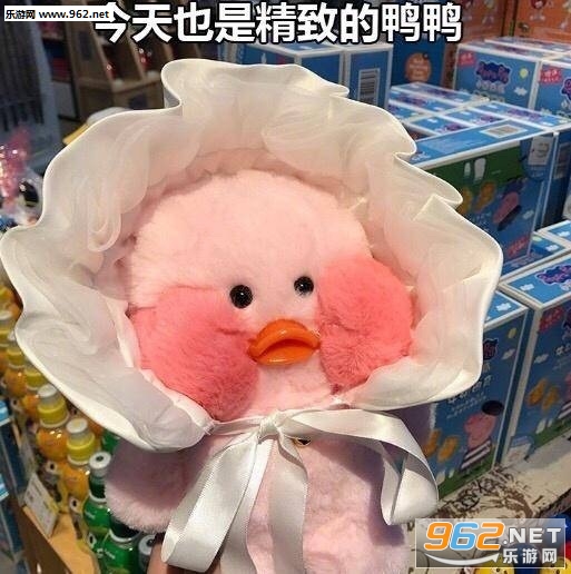 ����Ҳ�Ǿ��µ�ѼѼ������С��Ѽ�������ͼ0