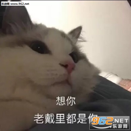 �����ϴ���ȫ�����Ц�������ͼ0