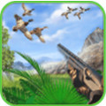 Duck Hunting 3D(��Ѽ3D��׿��)