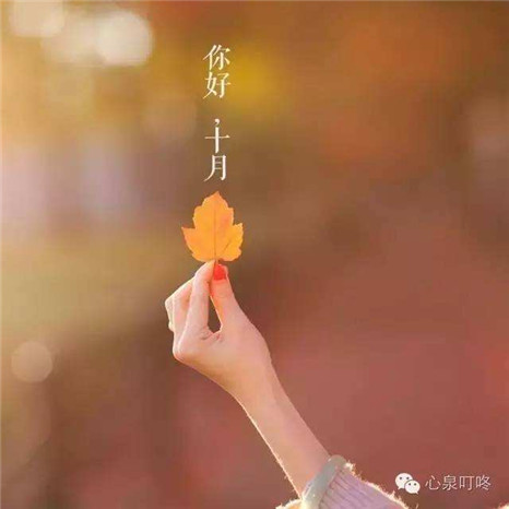 �����ټ�10��ͼƬ�����