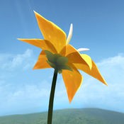 Flower�����ΰ�׿��