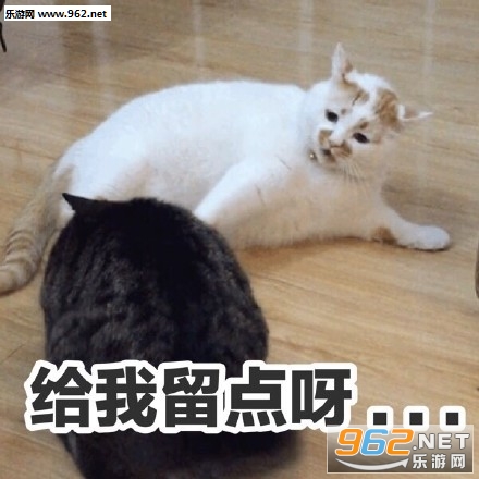 我jio得阔以猫爪表情包截图0