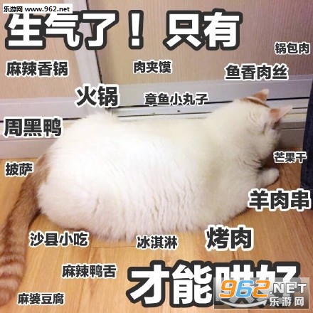 我jio得阔以猫爪表情包截图1