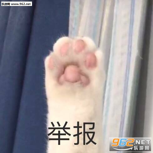 我jio得阔以猫爪表情包截图3