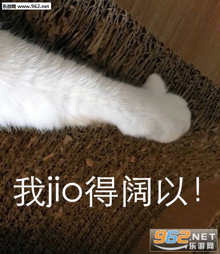 我jio得阔以猫爪表情包截图4