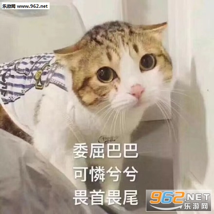�������̼ҵ�ĸ��лл��������ͼ0