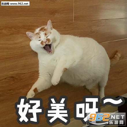 �������ƪ�������ͼ2