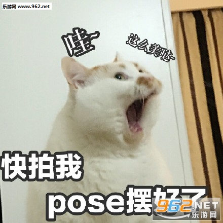 �������ƪ�������ͼ3