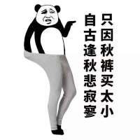 ���ǿ�ʼ���������������ͼ0