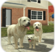 Dog Sim(����ģ����������)