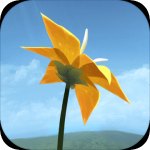 Flower������