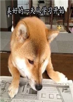 ���õ�һ���ѧϰ��ʼ��Ȯ�����