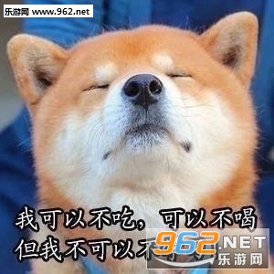 美好的一天从学习开始柴犬表情包截图2