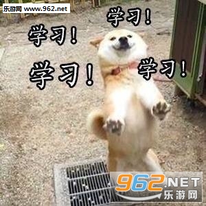 美好的一天从学习开始柴犬表情包截图3