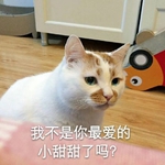 �Ҳ��������С������������