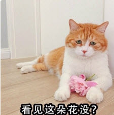 ������仨û˺��Ҳ������������ͼ0