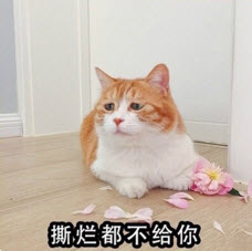 ������仨û˺��Ҳ������������ͼ1