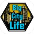 Big City Life : Simulator(���������ģ������׿��)