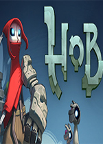Hob